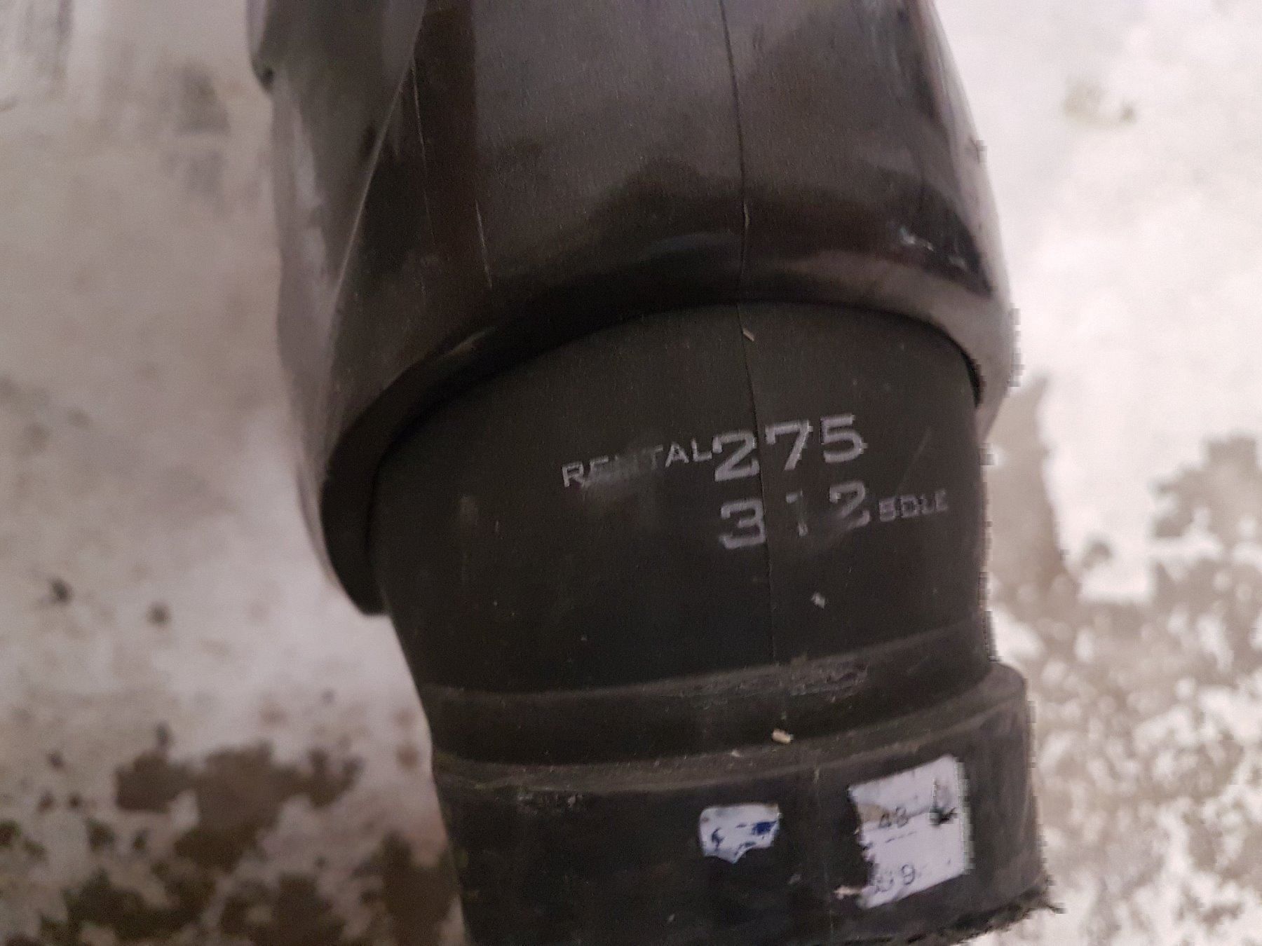Skis: Skischuhe Gr.43 – Gebraucht aus Dietschwil von FIZENATOR 2