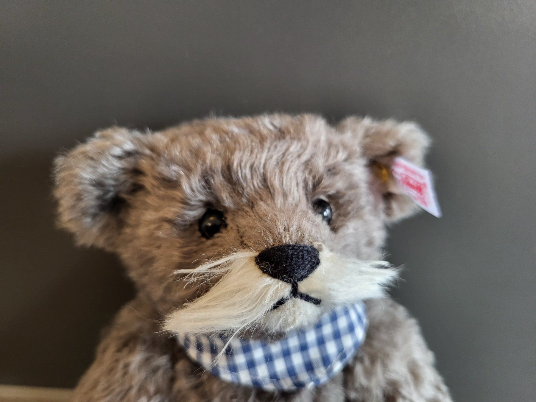 Steiff Spielzeuge: Steiff Teddybär – Neu (gemäss Beschreibung) aus Zürich von Orchidee 2