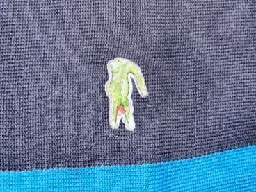 Lacoste Maglioni & Felpe: Pull Lacoste taille M – Usato da Lausanne venduto da LorenaOrtega 1