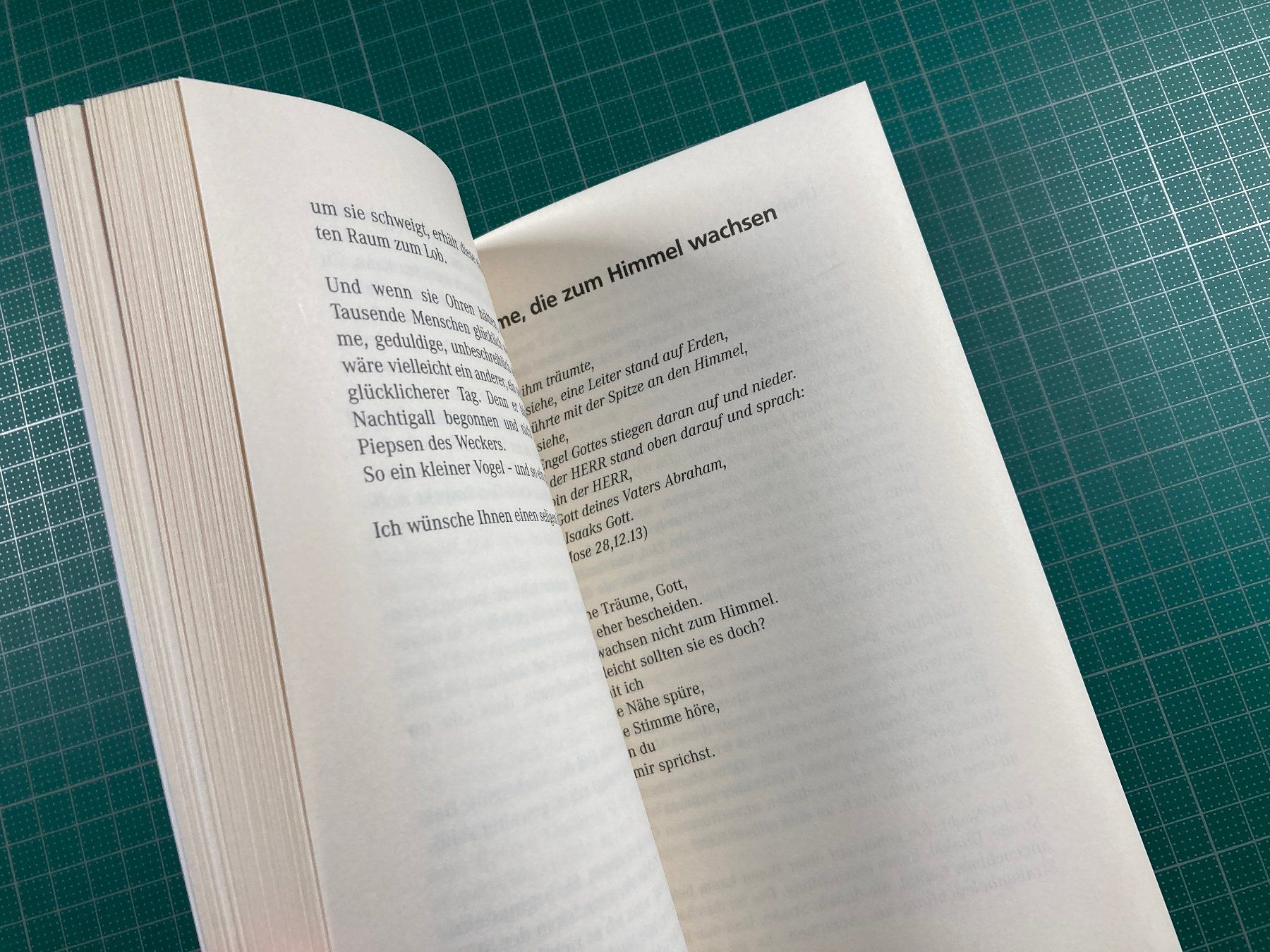 Libri: Gerhard Engelsberger: Seligen Schlaf – Usato da Lenzburg venduto da fh1 6