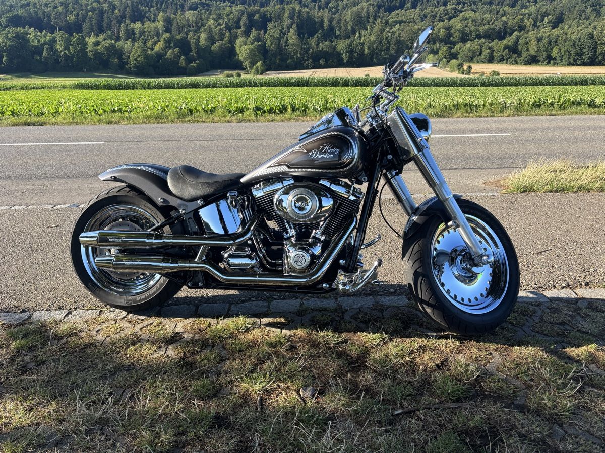 Harley-Davidson Altro: Harley Davidson Fat Boy Flstf – Usato da Birr venduto da Rosa74 3