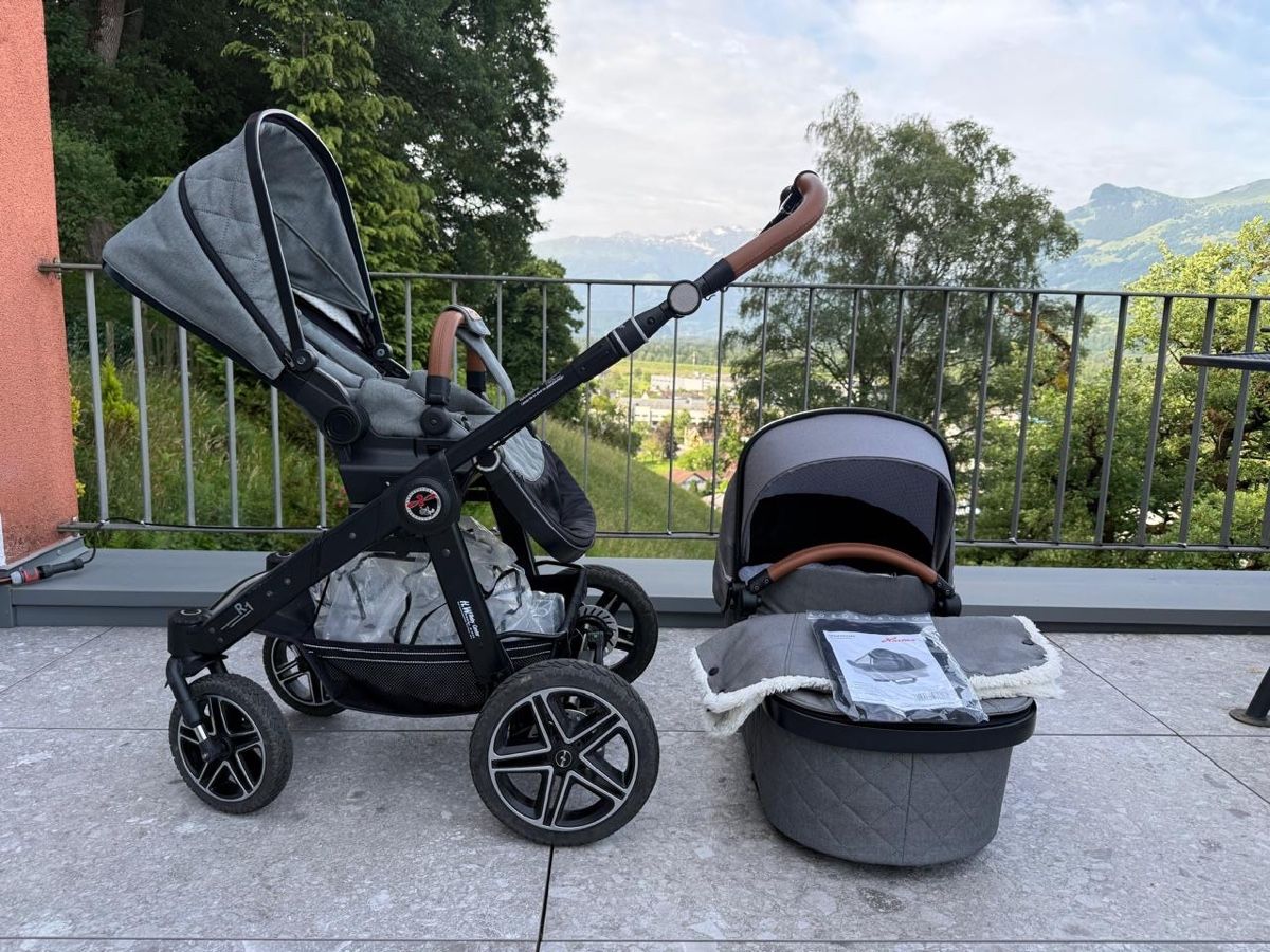 Hartan Carrozzine: Hartan R1 GTS mit Handbremse – Usato da Triesen venduto da Michi_2201