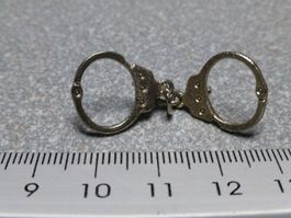 PIN PINS POLIZEI POLICE POLIZIA STAPO KAPO Kanton Stadt