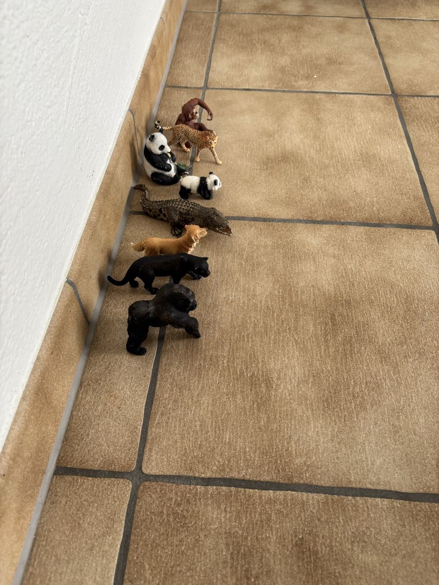 Schleich Figurines: 8 Schleich Tiere – D'occasion à Bachenbülach par Queen_K 3