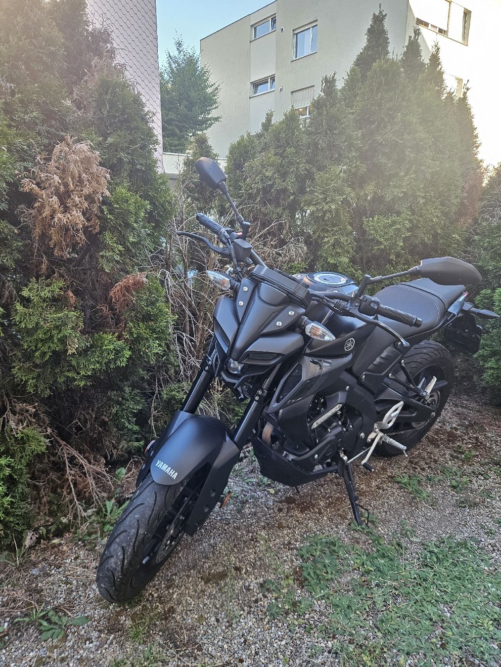 Yamaha Strasse: Yamaha MT-125 – Gebraucht aus Zürich von kru_h9r7 1