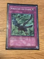 Yu-Gi-Oh Windsturm von Etaqua Falllenkarte PCY-G001