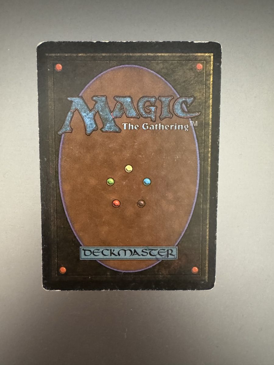Cartoline: Magic The Gathering - Tundra – Usato da Schlieren venduto da Jairo3 1
