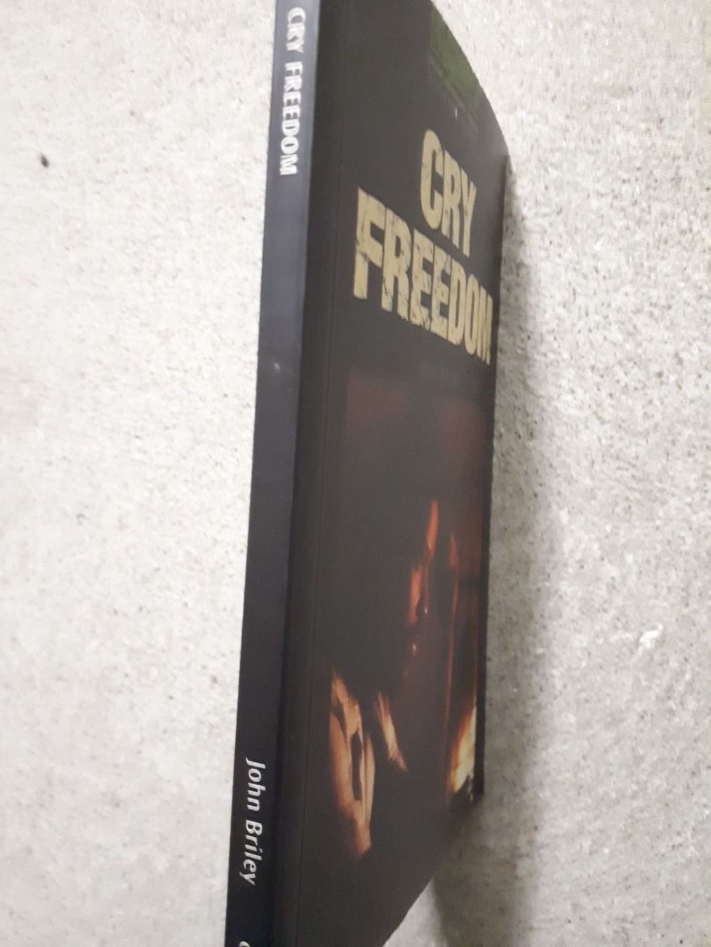 Libri: John Briley Cry Freedom – Usato da Basel venduto da Alacant 1