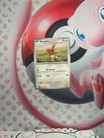 Buneary Pokemon Karte Holo/Reverse Holo/Common