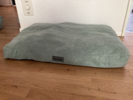 Scruffs Hundekissen