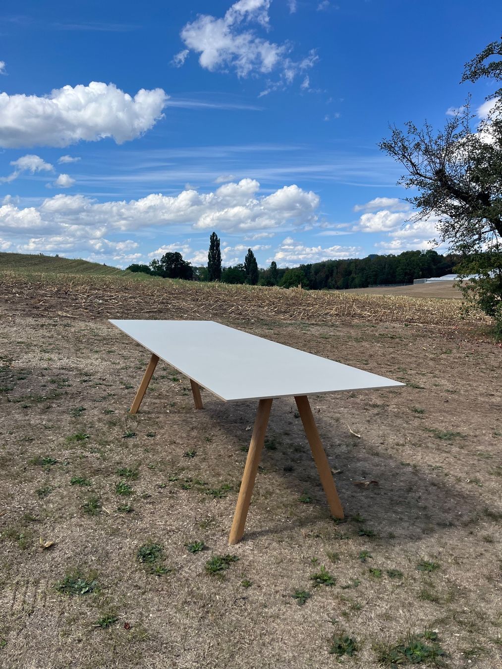 Tables: Designer Tisch – D'occasion à Allmendingen b. BE par juair 5