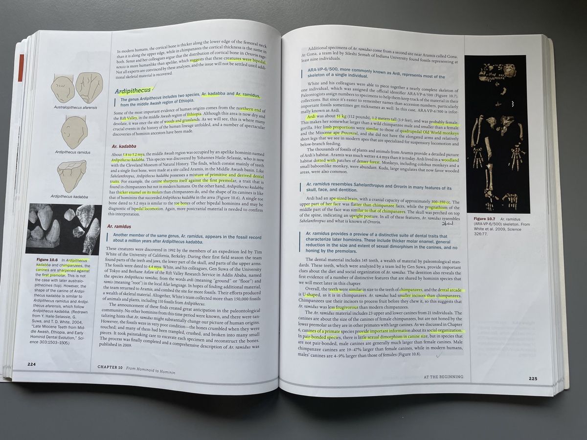 Libri: How humans evolved, 6th edition, Boyd & Silk – Usato da Zürich venduto da ehupp 2