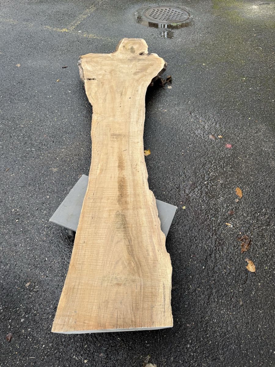 Articoli in legno: Nussbaum Klotzbrett 270  cm lang! – Usato da Gränichen venduto da onkel_xxl 1