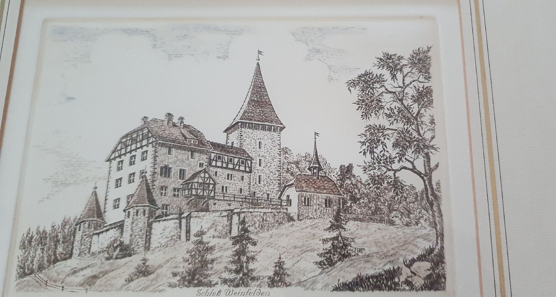 Stiche: Bild - Schloss Weinfelden,  Stahlstich – Gebraucht aus Kreuzlingen von Rschweiz1 3