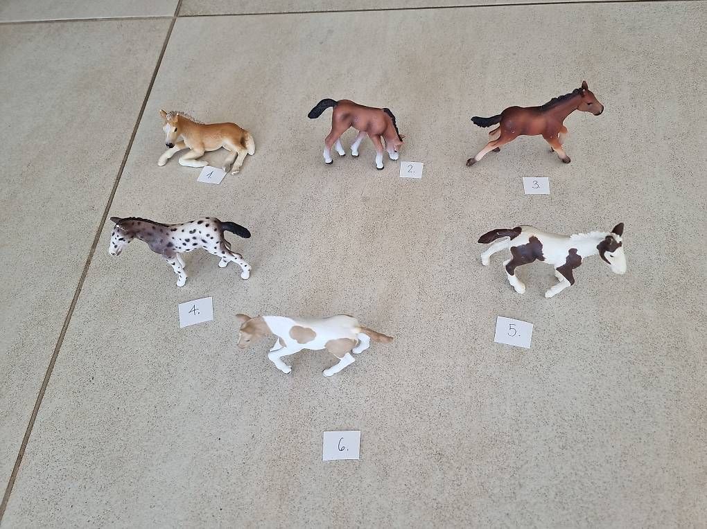 Schleich Giocattoli: Schleich Fohlen – Usato da Ortschwaben venduto da Patrick1978