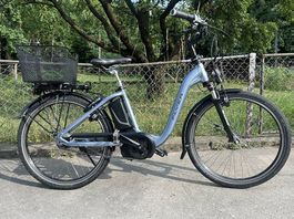 E-BIKE  / FLYER  / 25 km /h