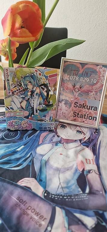 CD: Miku Hatsune Überraschungs Tüte – Usato da Zürich venduto da sla_2sqs