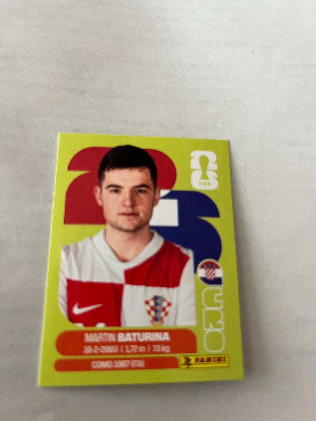 Panini Carte collezionabili: Panini World Cup 2026 – Usato da Winterthur venduto da fla_hwg8