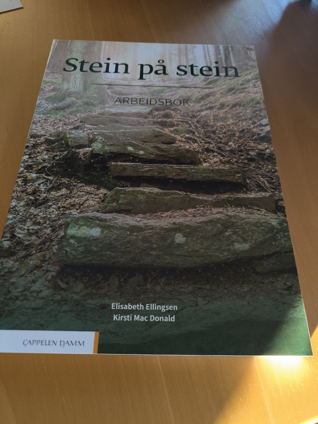 Libri: Stein på stein - Norwegisch Arbeitsbuch B1 – Nuovo e nell'imballaggio originale da Witterswil venduto da kru_llj8 2
