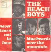 The Beach Boys  --  Bluebirds over the Mountain  Single7