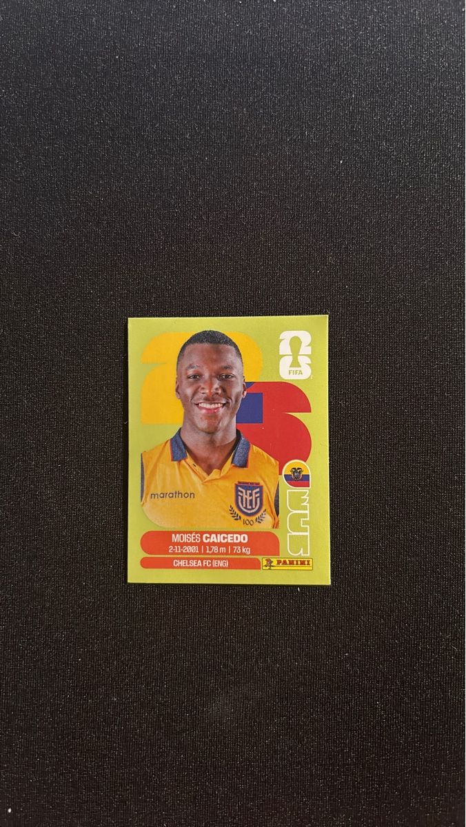 Panini Carte collezionabili: Panini - WM 2026 - Moisés Caicedo - ECU 9  – Usato da Kaiseraugst venduto da Baum_12