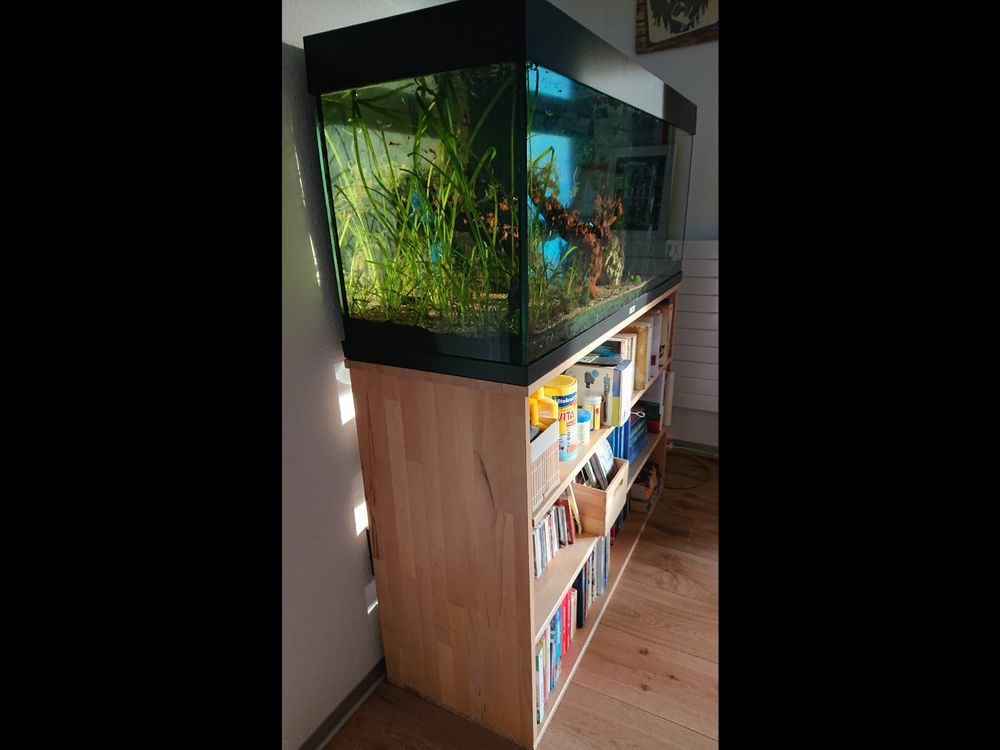 Juwel Aquarium 240l mit Fischen, Lichtkasten defekt Kaufen auf Ricardo