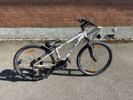 Trek Junge Velo