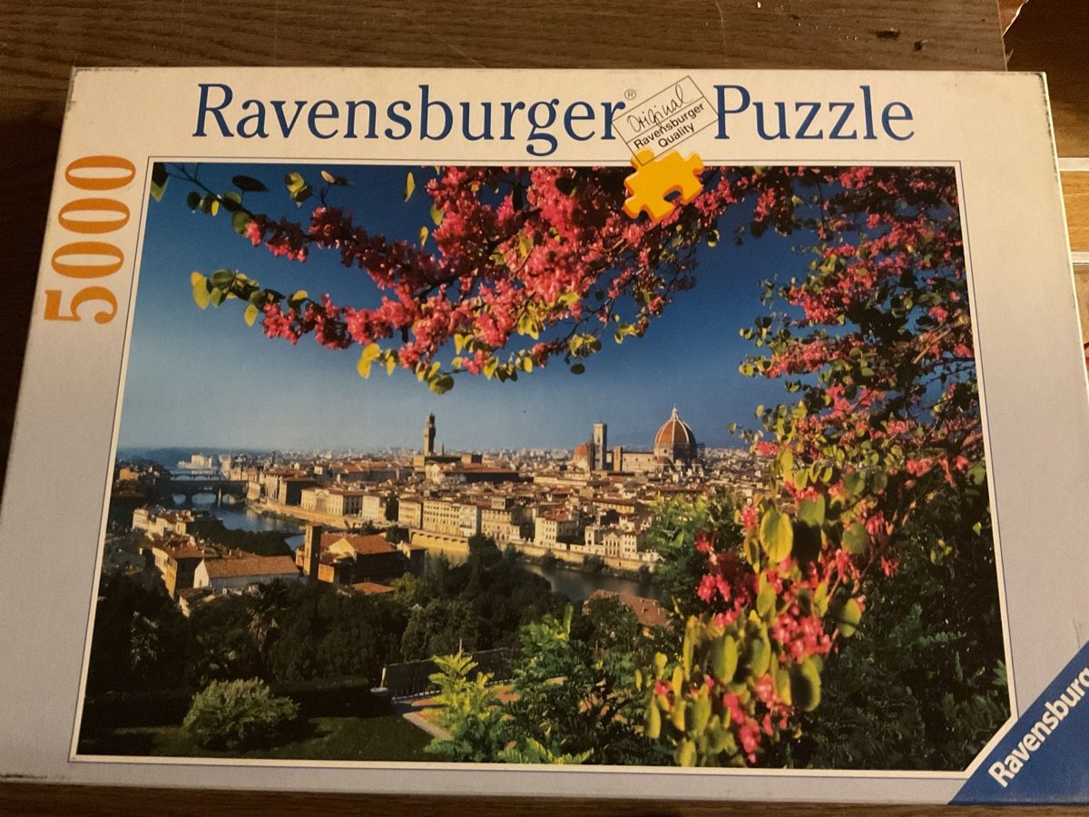 Ravensburger Puzzle: Puzzle 5000 – Usato da Soyhières venduto da cgrs