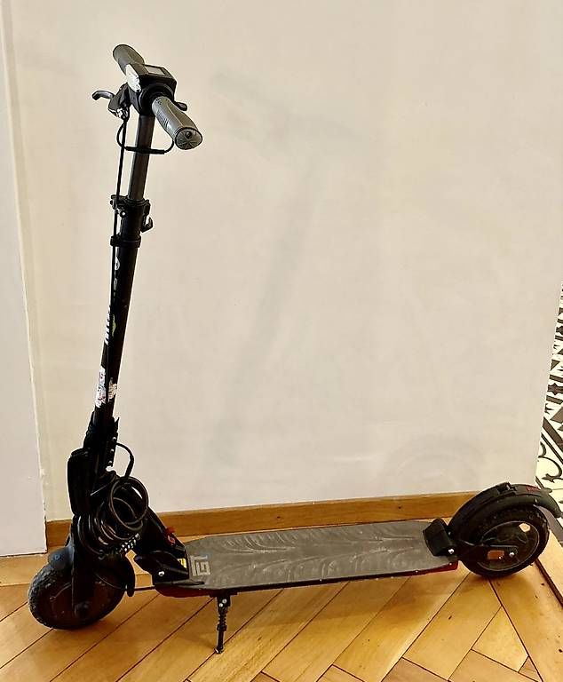 Kickboard: Trotinette E-TWOW GT + SL Swiss édition  – Usato da Lausanne venduto da isa_qf8z