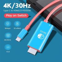 USB-C auf HDMI Kabel | 4K | 100W PD | Nintendo Switch |Steam