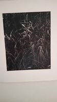 Tirage original de Denis Brihat