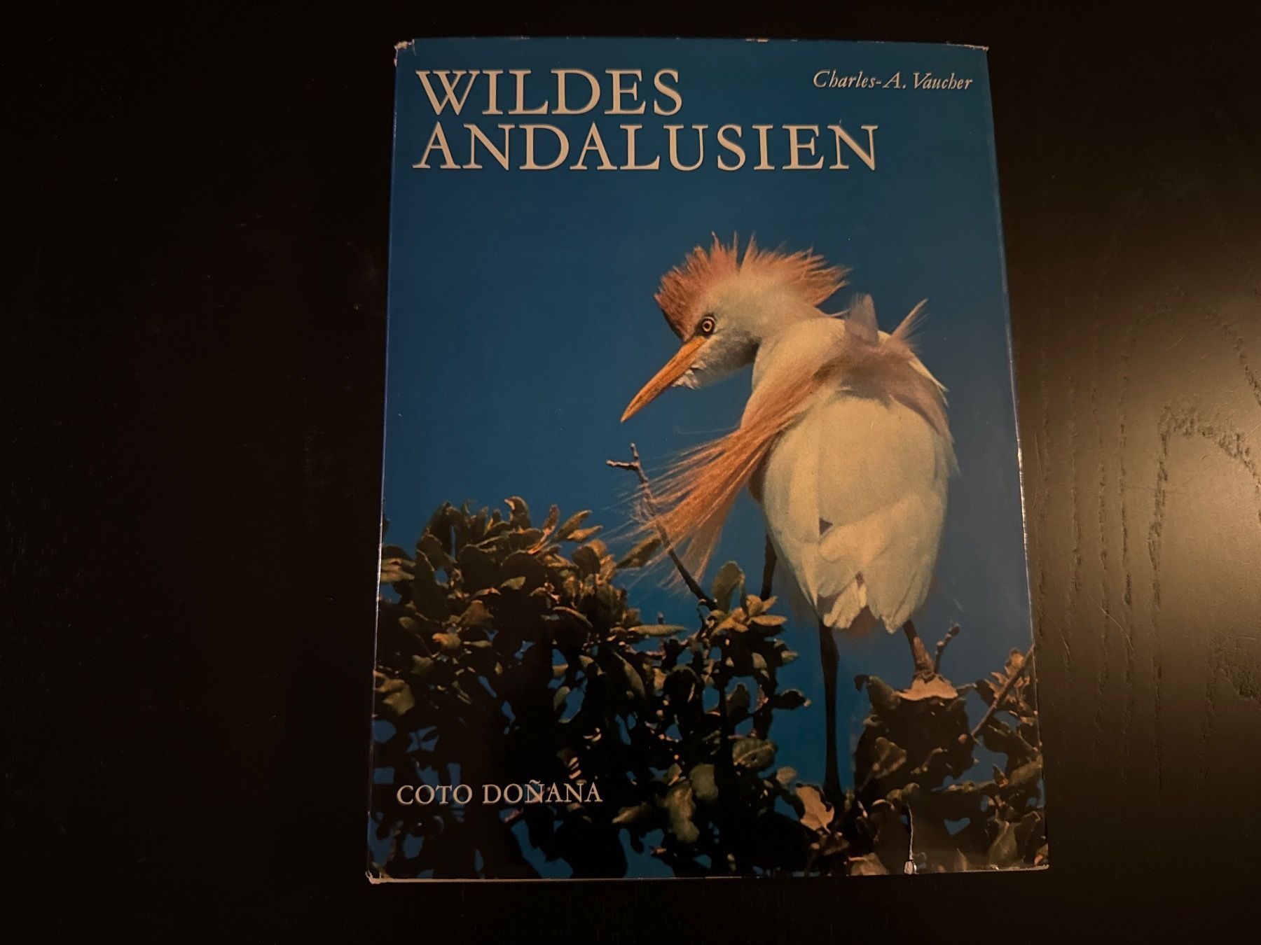 Libri: Wildes Andalusien – Usato da Erstfeld venduto da Mario_boe0