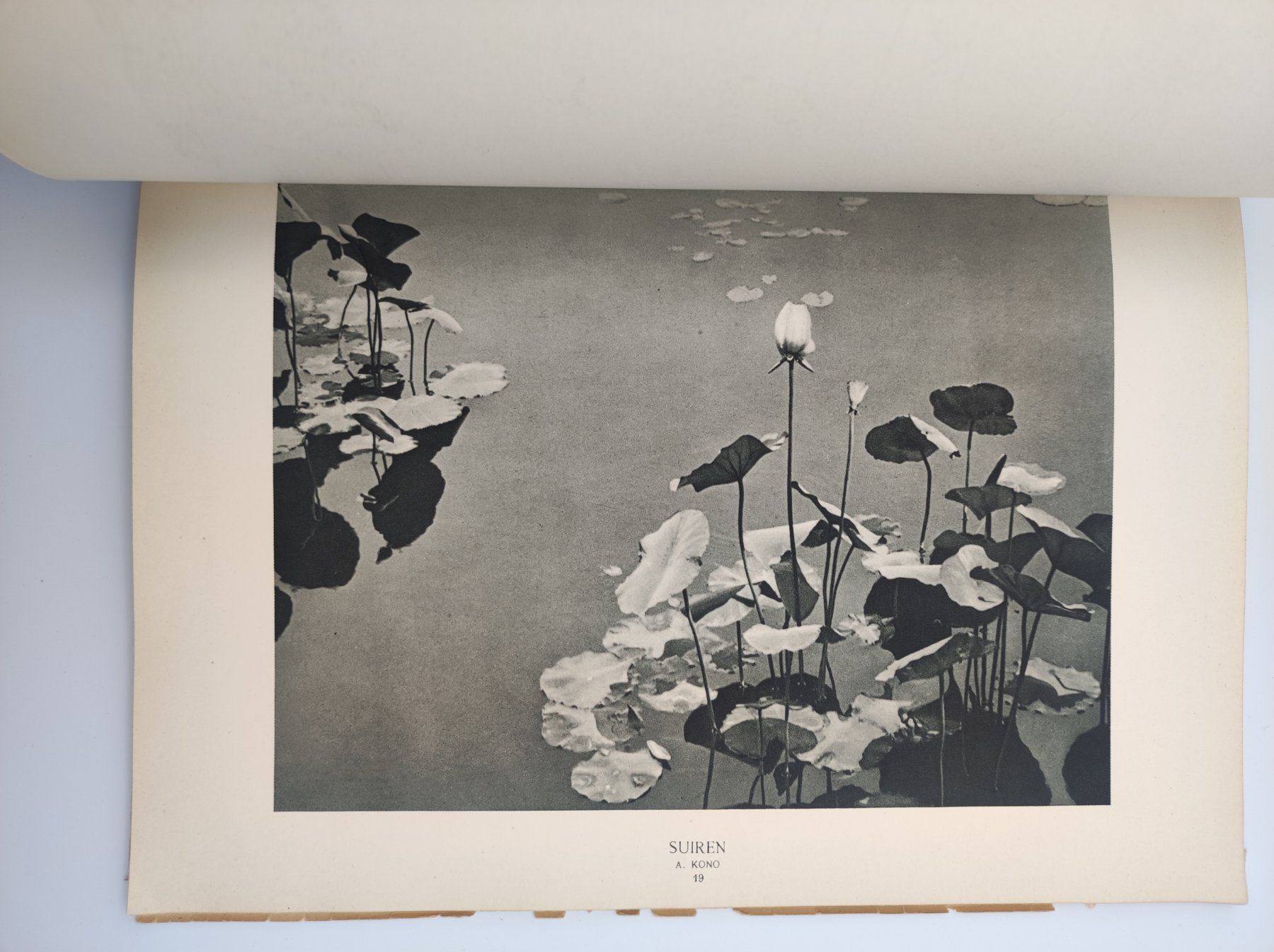 Libri: PHOTOGRAPHIE - SALON INTERNATIONAL – Usato da Goldach venduto da Gaip 4