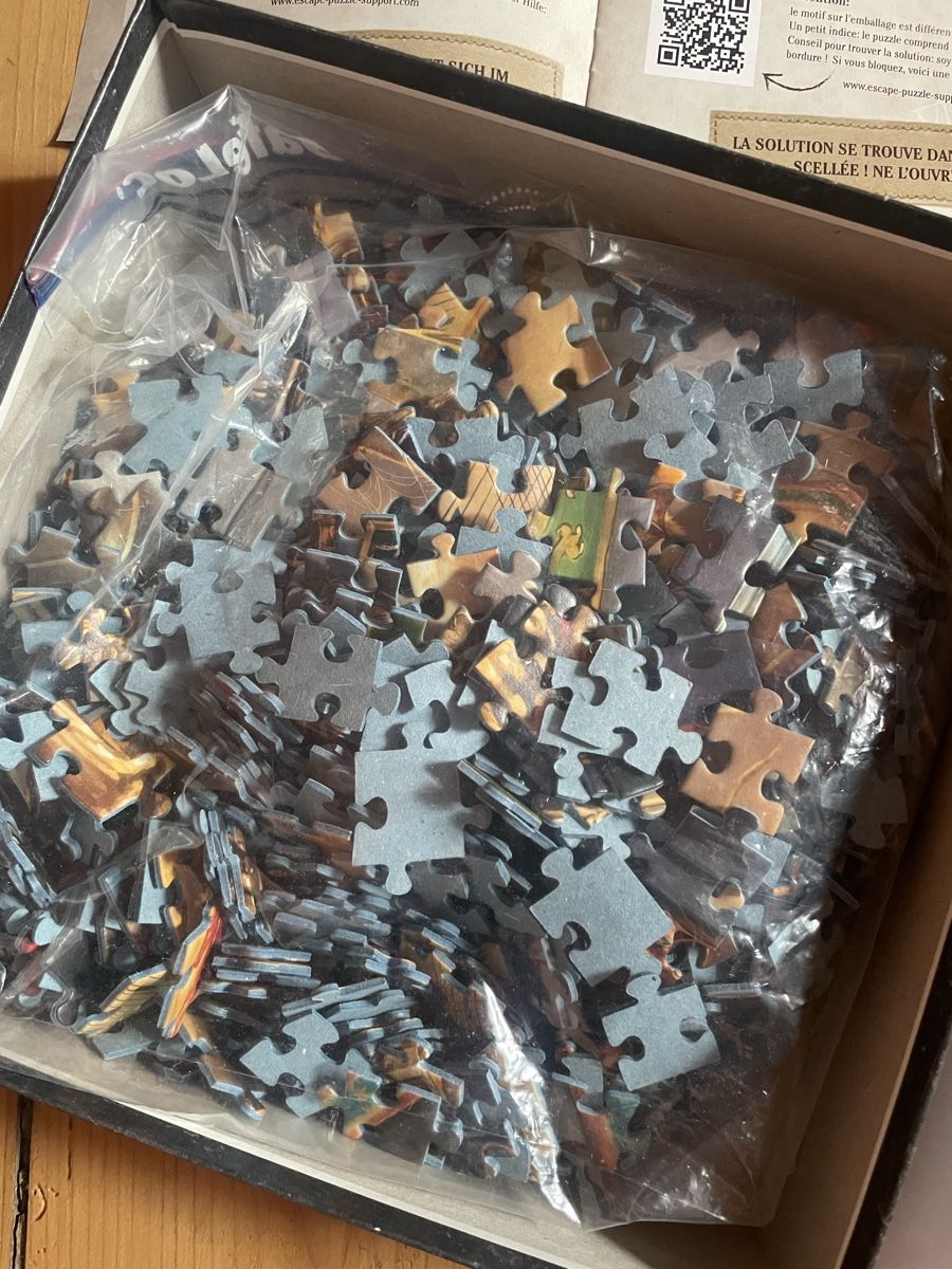 Ravensburger Puzzles: Exit Puzzle – Gebraucht aus Zürich von Luana_soph 1