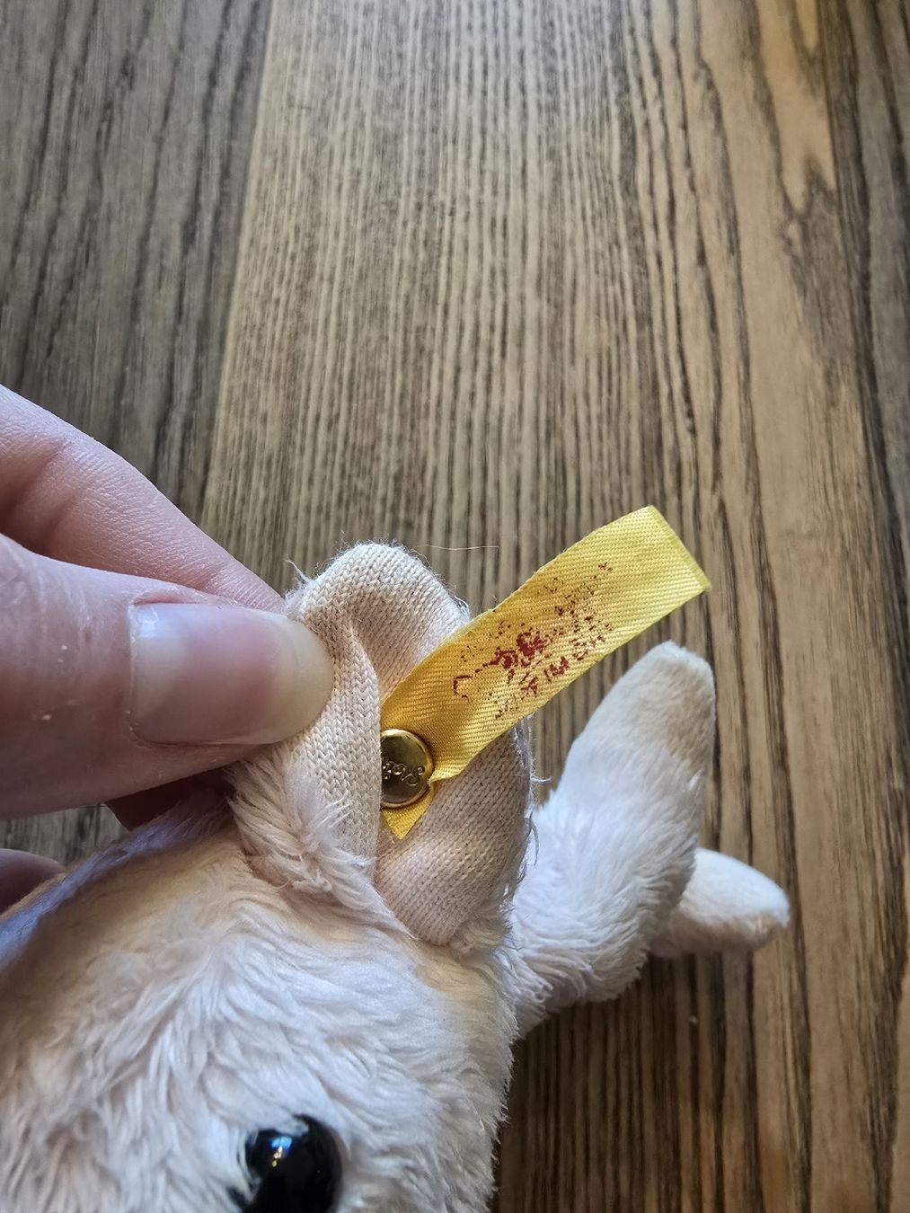 Steiff Giocattoli: Petit cochon Steiff – Usato da Echarlens venduto da AnimoBest 3