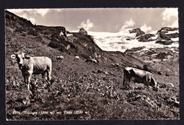 Trübsee mit Titlis, ungelaufen