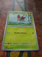 POKEMON  Ledyba    H  SCR EN   002/142   HP60   2024