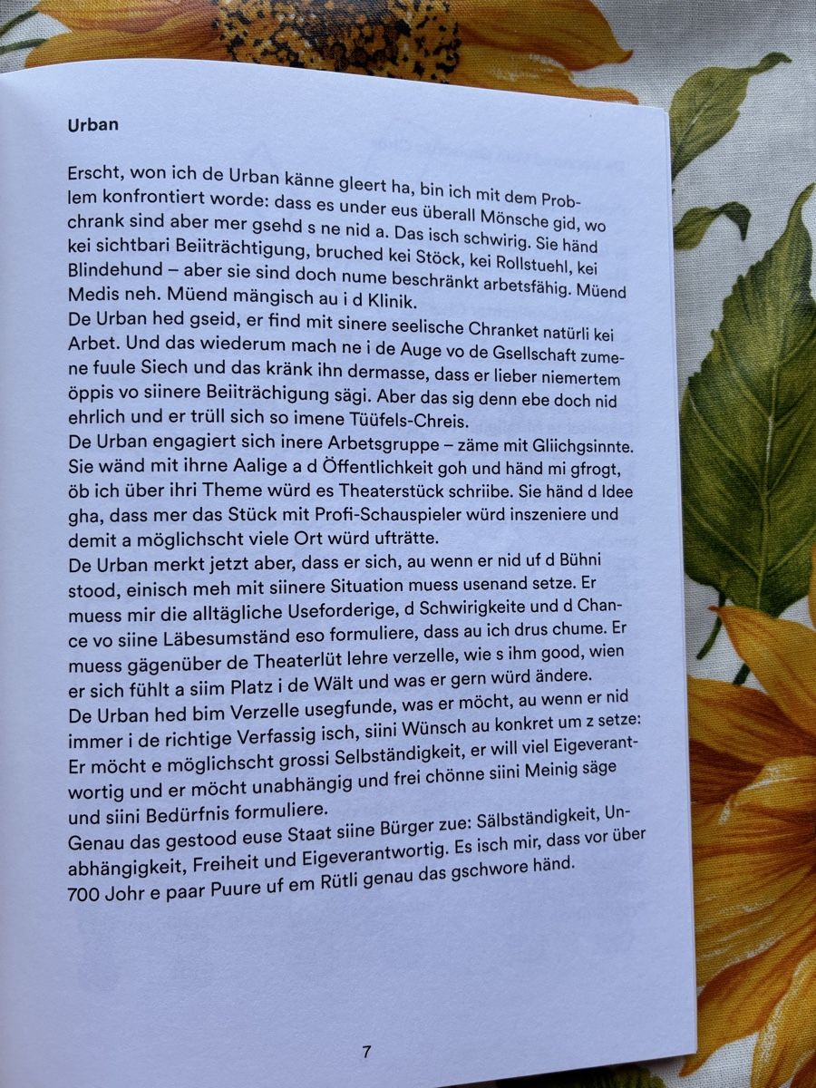 Libri: Paul Steinmann Geschichte Buch gebraucht – Usato da Wettingen venduto da ric_xm6x 5