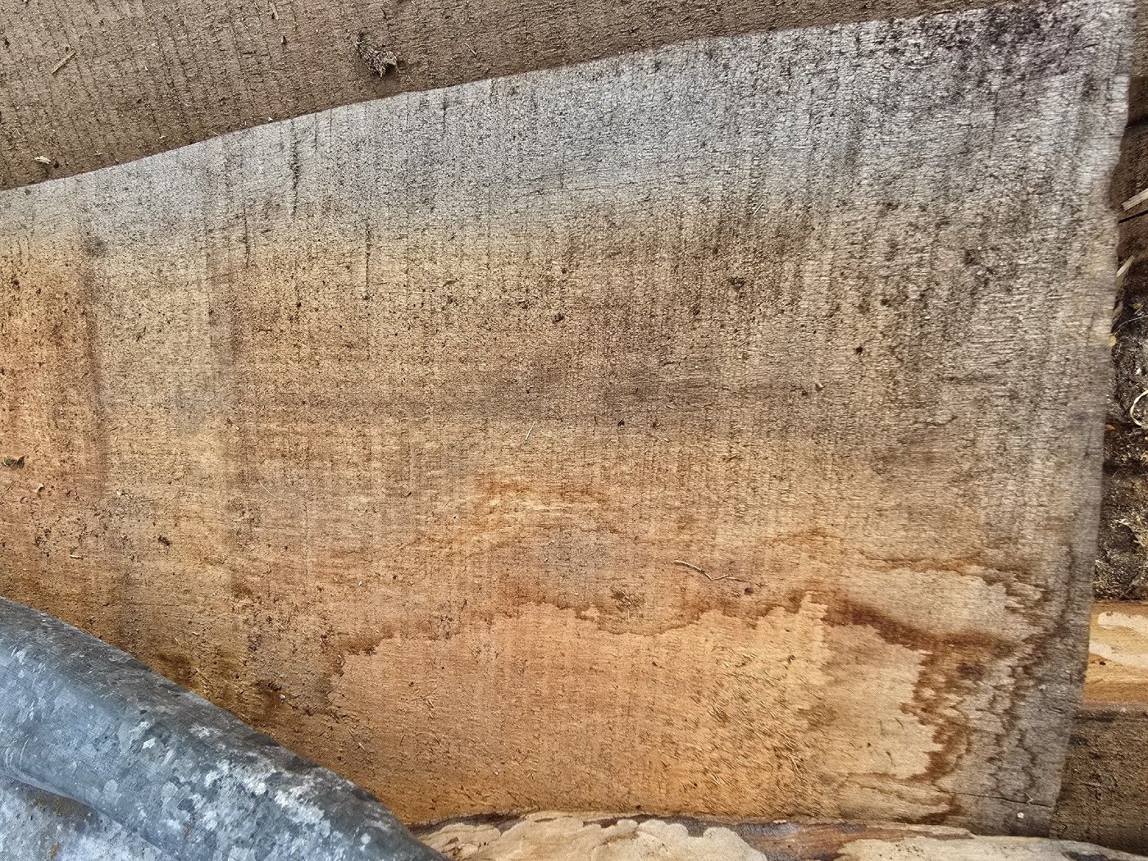 Articoli in legno: Laubholzbretter – Nuovo (secondo la descrizione) da Ramsei venduto da Waelchris 2