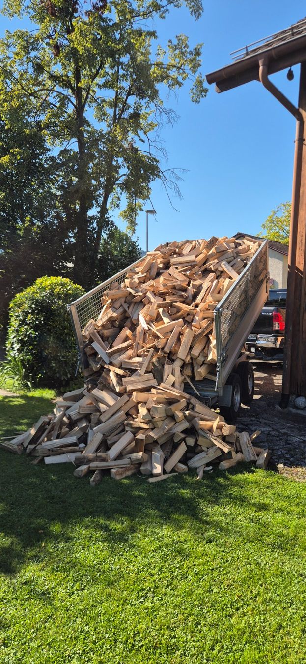 Articoli in legno: Brennholz Buche – Usato da Grabs venduto da brennholz_bruno