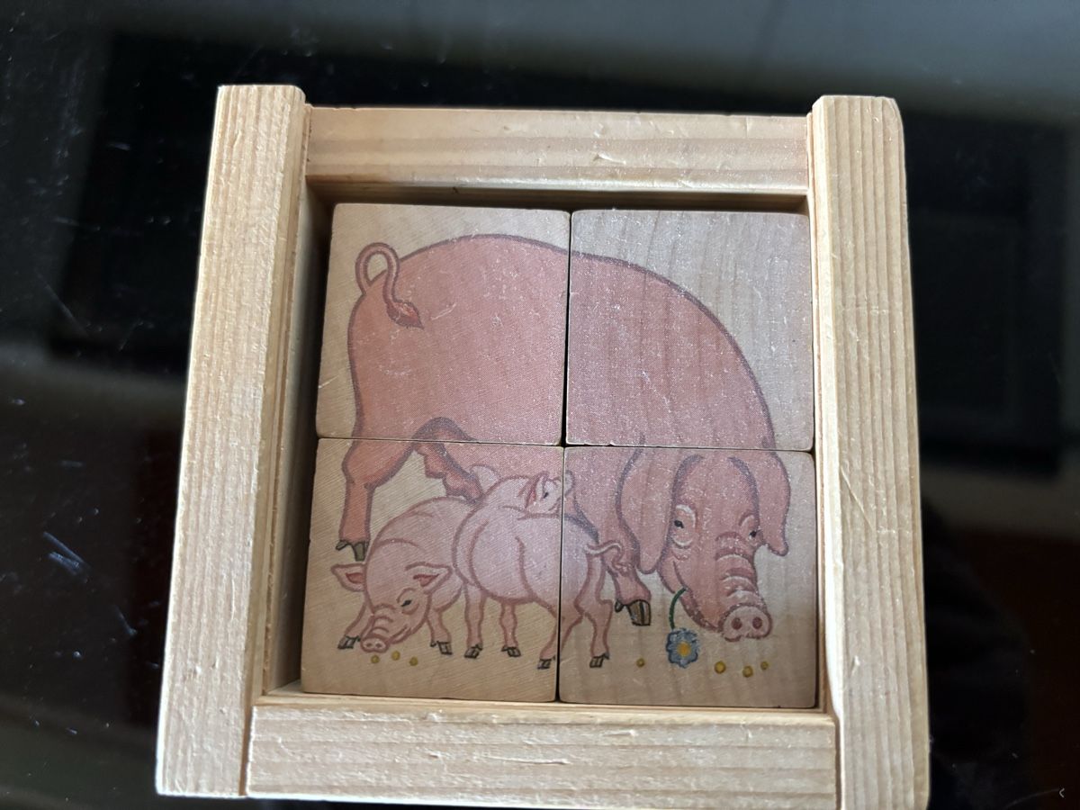 Puzzle: Klotzli puzzle – Usato da Delémont venduto da vcx 5