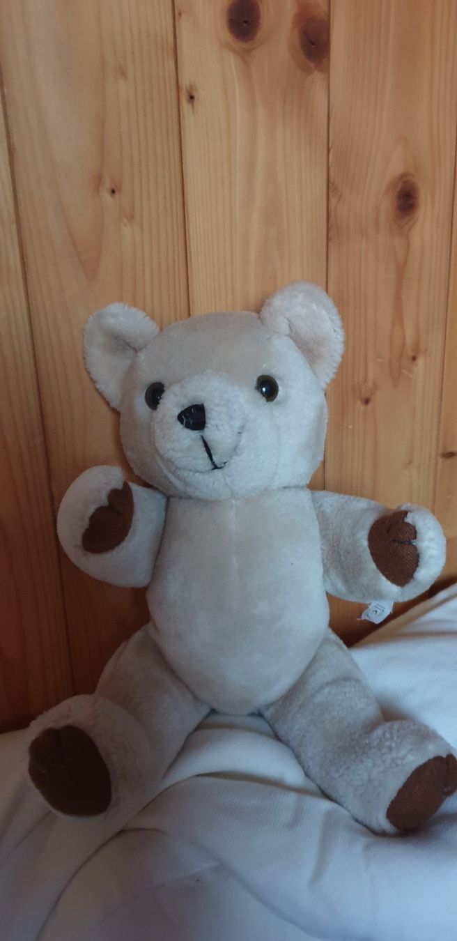 Statuette: Bär Teddy -Bär – Usato da Wildhaus venduto da enzian66