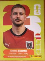 Panini AUT16