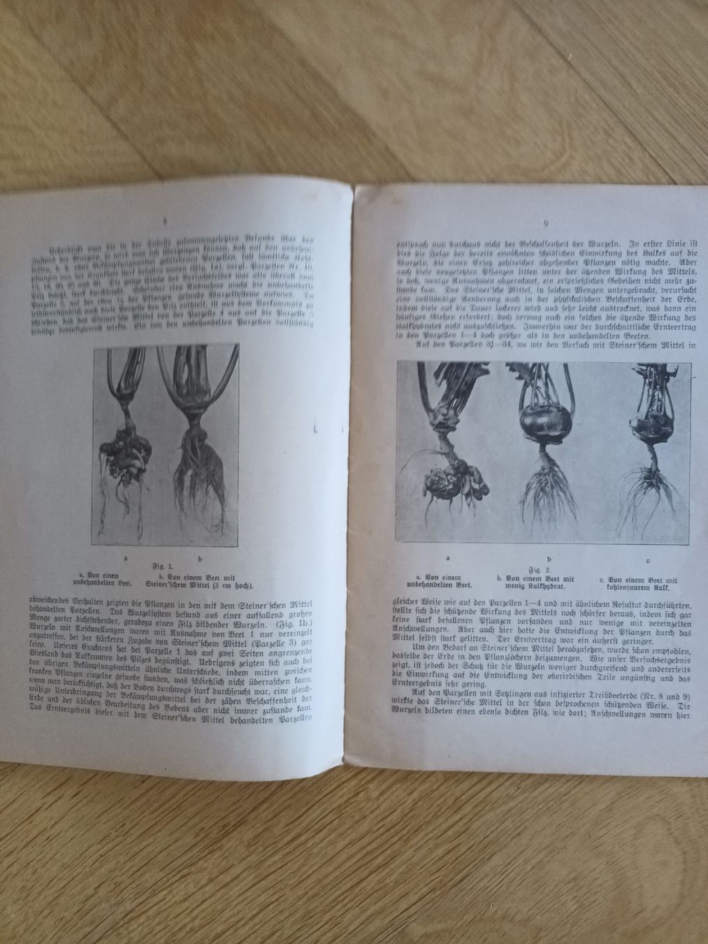 Documenti: Altes Buch: Versuche zur Bekämpfung der Kohlhernie, 1919 – Usato da kriens venduto da ole-norge 2
