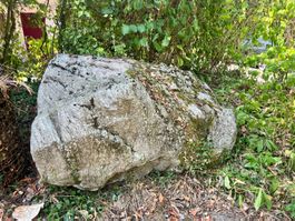 Grosser Naturstein / Findling abzugeben
