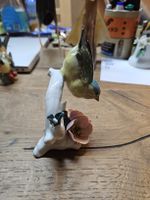 Porzellan Vogel Figur Karl Ens (D)