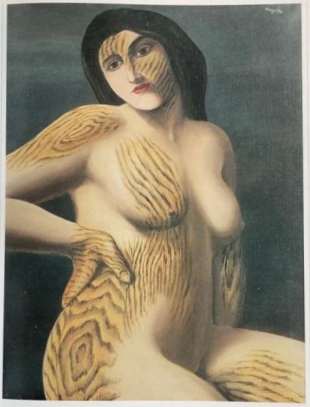 Libri: Magritte - Monografie, von David Sylvester, originalverpackt – Usato da Oberriet SG venduto da ganesh435 5
