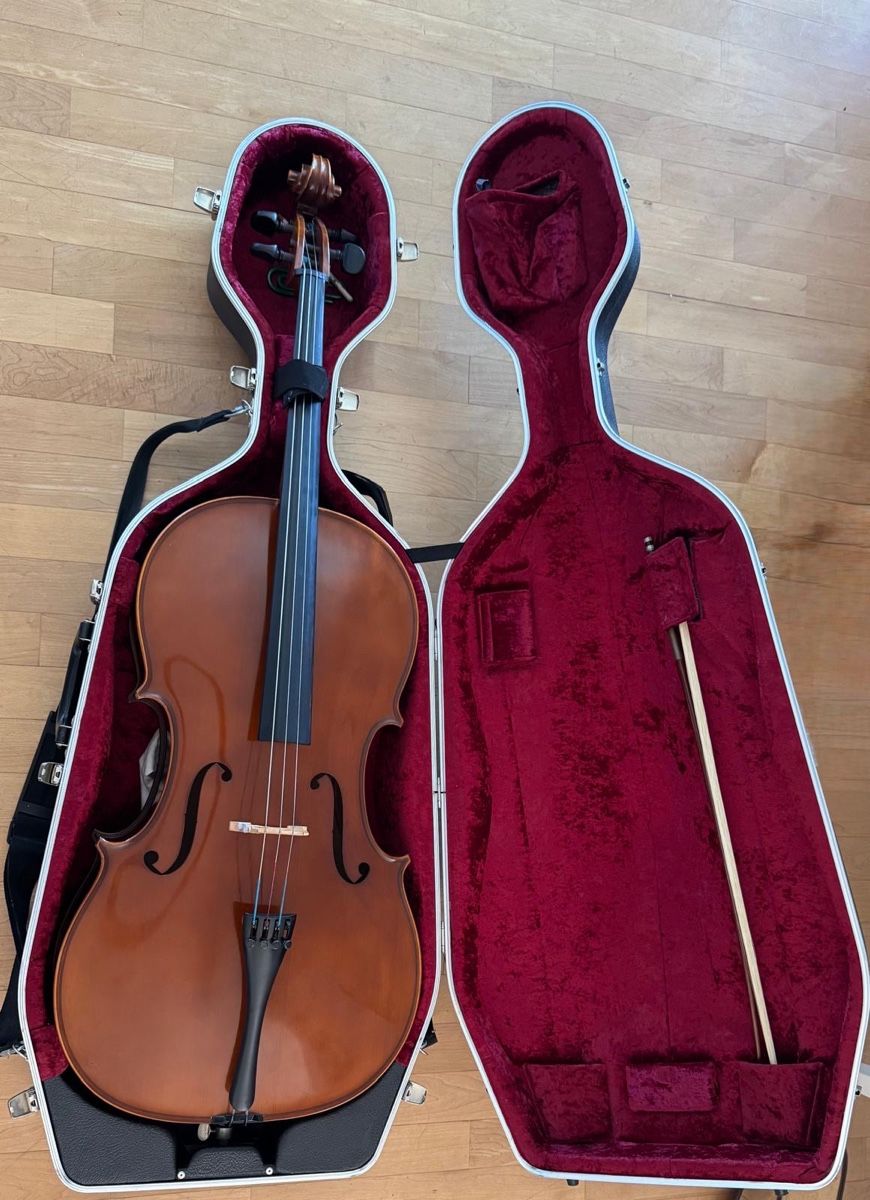Strumenti musicali: Cello – Usato da Grüningen venduto da diking06