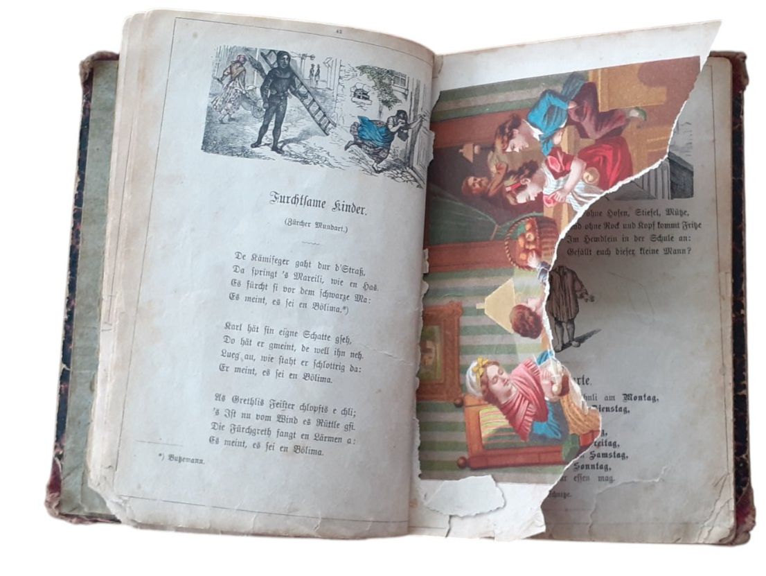 Libri: J. Staub Kinderbuch 1880 – Usato da Mörschwil venduto da lindaswunderkiste 3