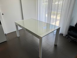 Esstisch inkl. 8 Lederstühle
